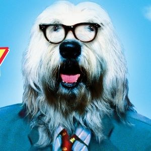 Meet your Posher, Patrick